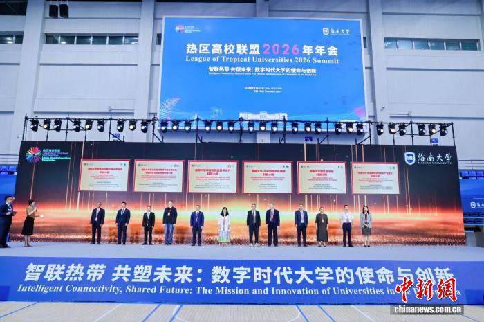 赏金大作战：深度解析与玩家指南 - 赏金女王