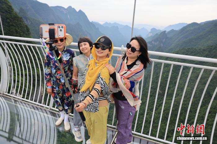 赏金女王平台：核心资讯与互动亮点 - 赏金女王