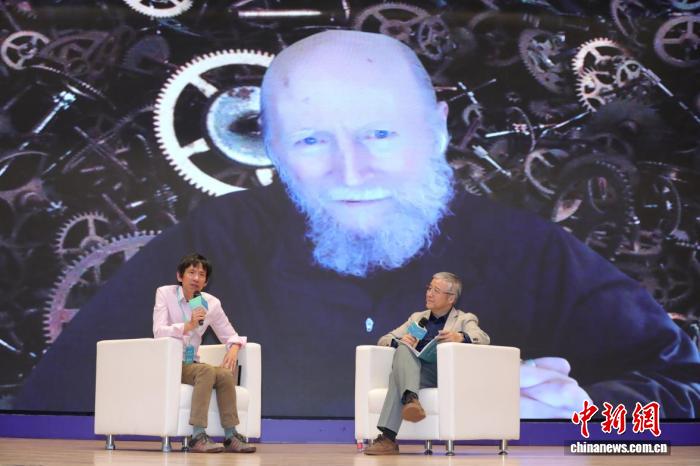 赏金大作战：深度解析与玩家指南 - 赏金女王