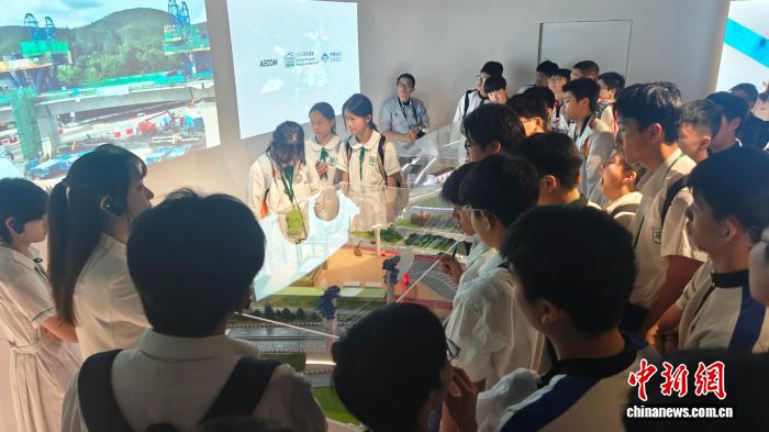 赏金大作战：深度解析与玩家指南 - 赏金女王