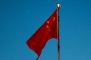 赏金大作战：深度解析与玩家指南 - 赏金女王